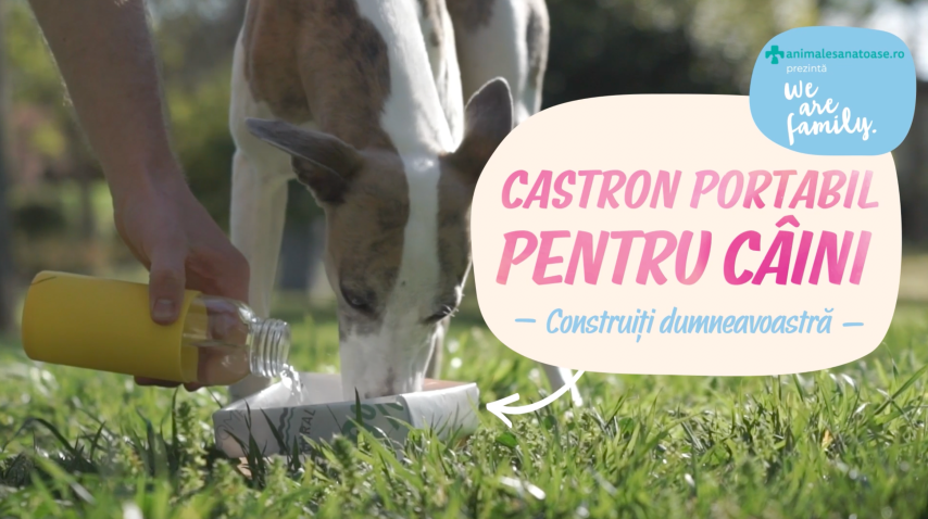 Castron portabil pentru câini